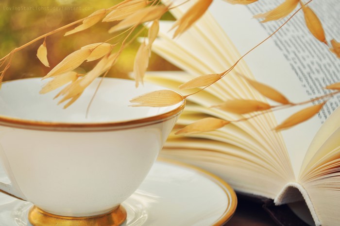 Cup and Book with Oat Stalk