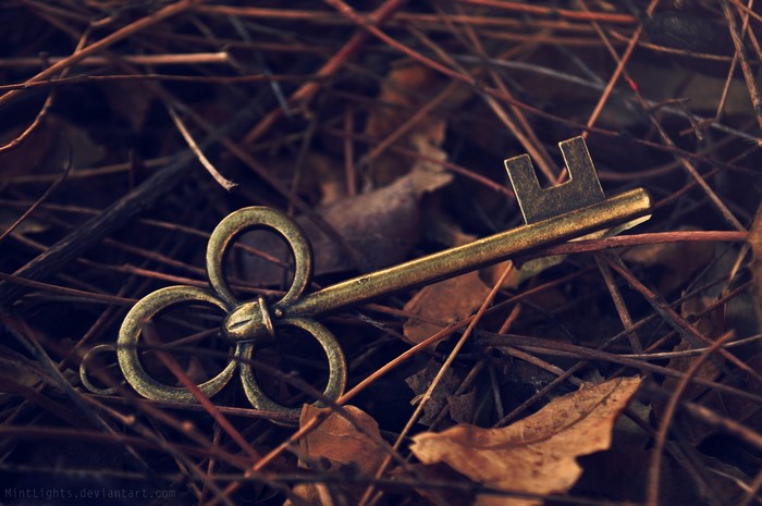 Antique key lying on dry leaves and twigs