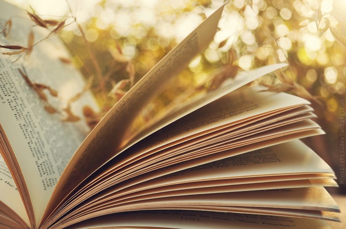 Closeup of an open book with pages fanned out