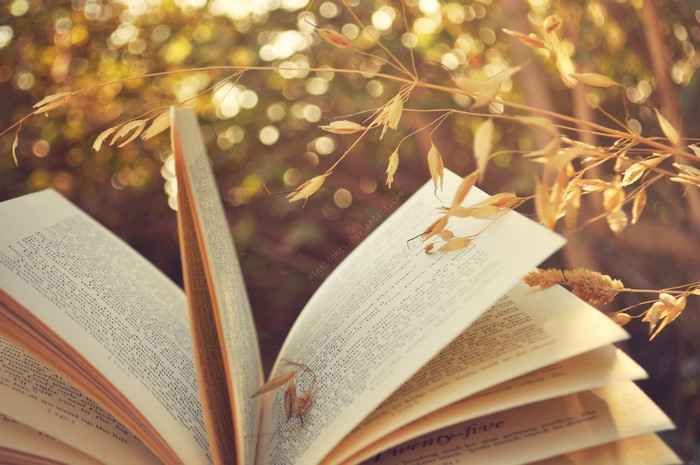 Open Book with Dried Grasses