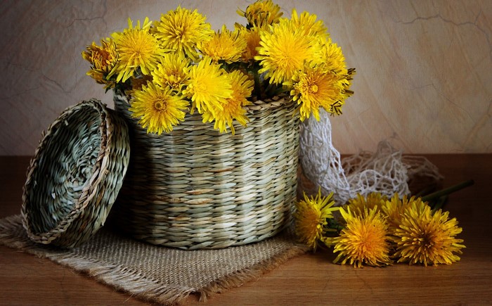 Dandelions in a wicker basket