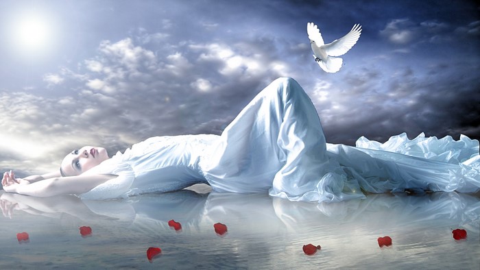Woman in white dress with dove and rose petals