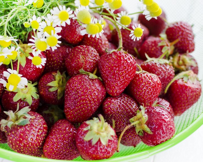 Strawberries and chamomile flowers in a green colander