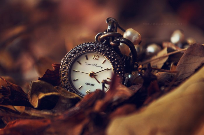 Pocket watch with pearls on autumn leaves