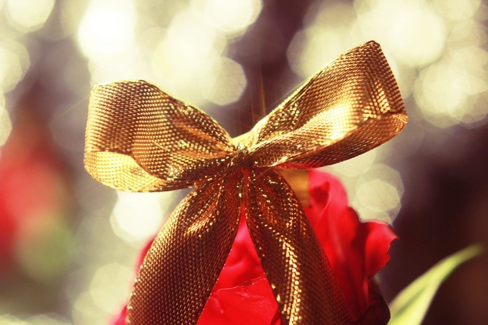 Golden bowknot on a red rose