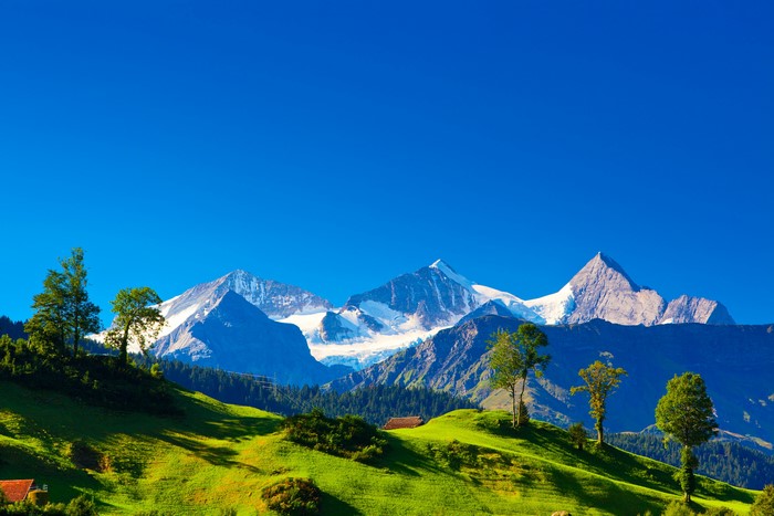 Snow-capped mountains in the Swiss Alps with green hills