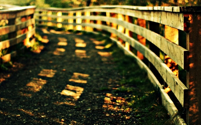 Wooden fence along a path with dappled sunlight