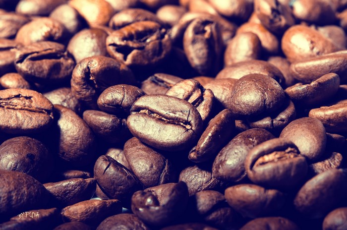 4K Coffee Beans Closeup