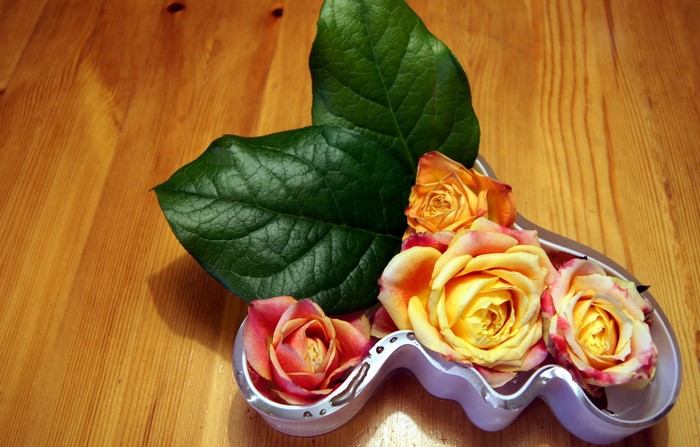 Roses and green leaves in a decorative dish