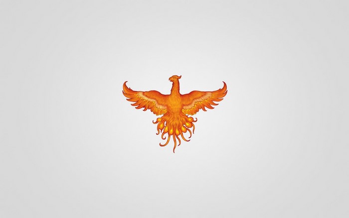 Phoenix bird illustration