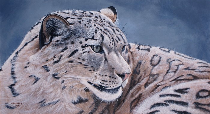 Painting of a Snow Leopard