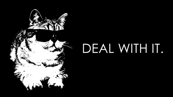 Cat wearing sunglasses with text Deal With It