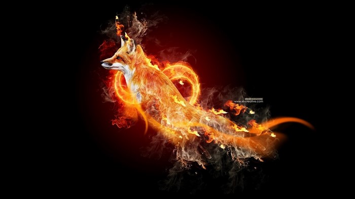 Fox made of fire with a heart shape