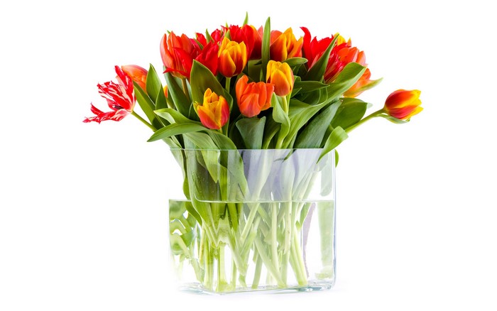 Bouquet of red and yellow tulips in a glass vase