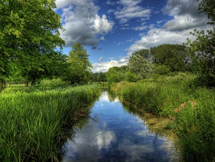 River Itchen in Winchester, England