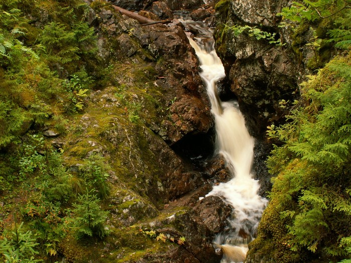 Waterfall in a mossy forest in Dalarna, Sweden