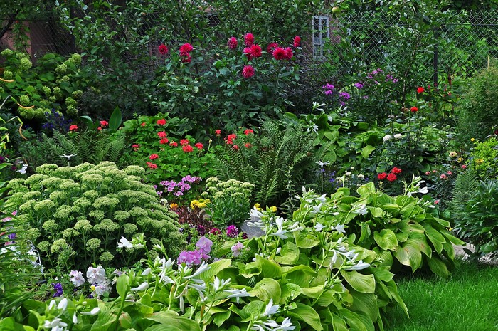 A vibrant garden with various flowers and plants