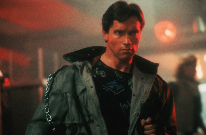 Arnold Schwarzenegger as The Terminator