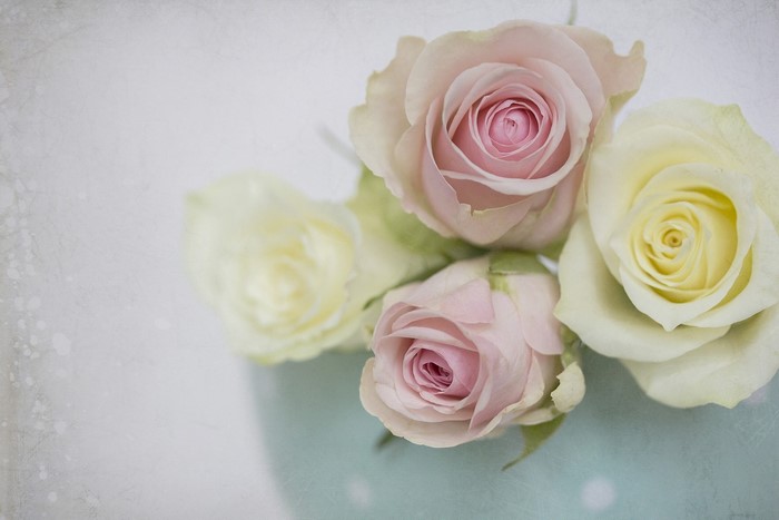 Four Roses in a Vase