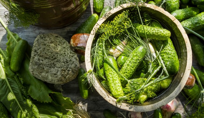 Cucumbers and Dill in a Bowl