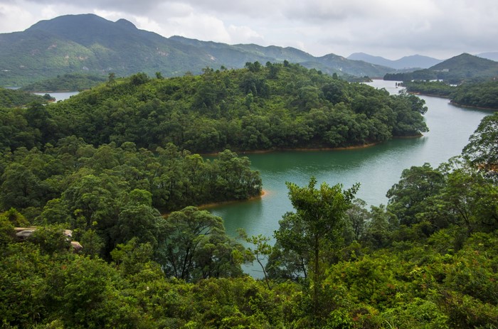 Reservoir surrounded by lush green hills in Hong Kong