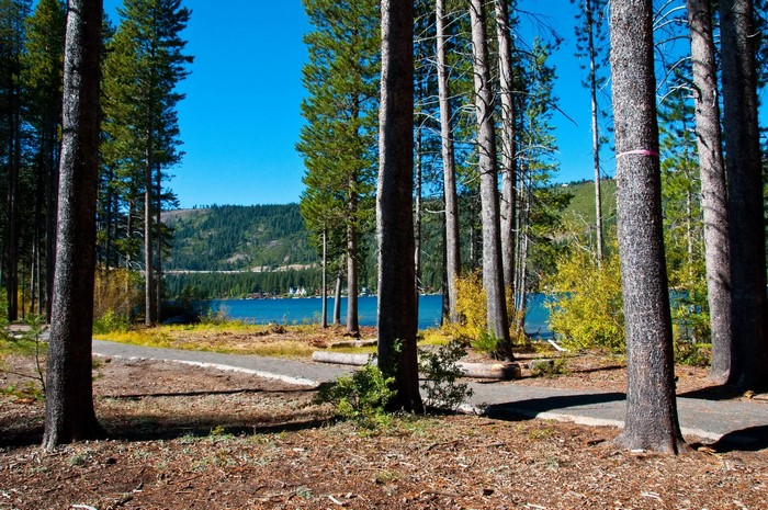 Donner State Parks USA trees by the lake