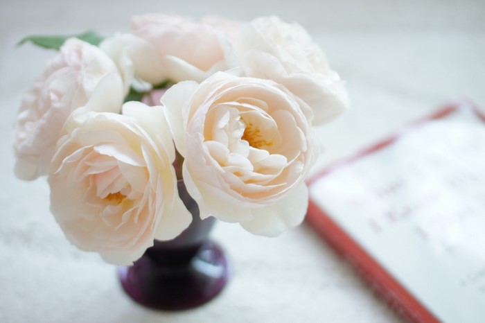 Close-up of pale pink roses in a dark vase