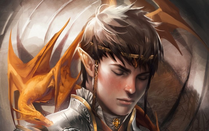 Elf with a dragon