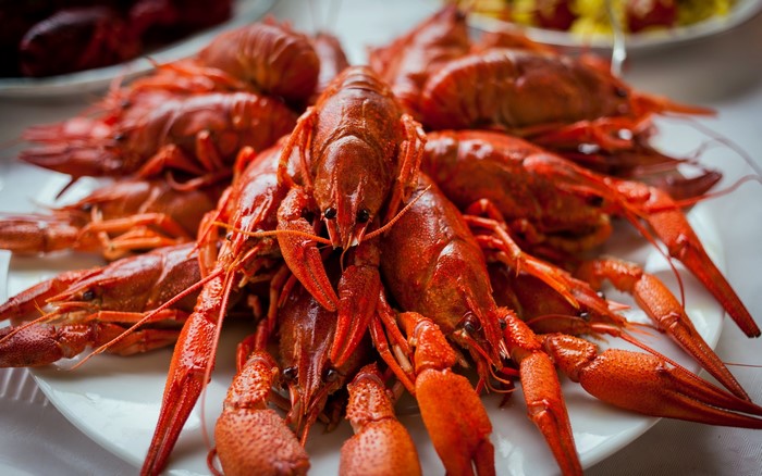 Plate of cooked red crayfish