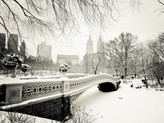 Bow Bridge in Central Park, New York City during winter