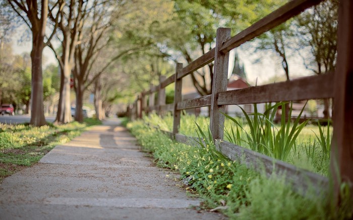 Wooden fence along a sidewalk with trees