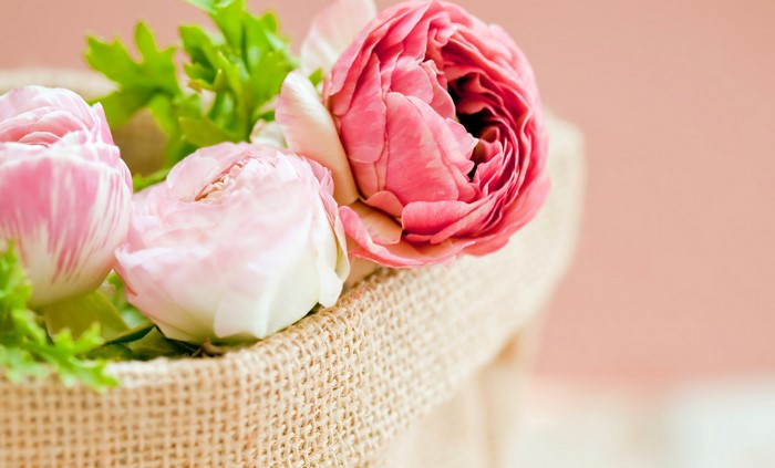 Pink peonies in a burlap bag
