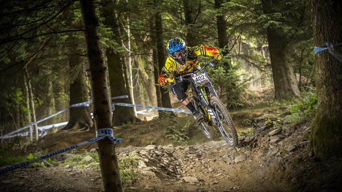 Downhill mountain biker in a forest race