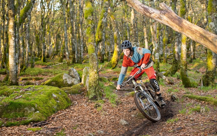 Man riding a mountain bike through a mossy forest