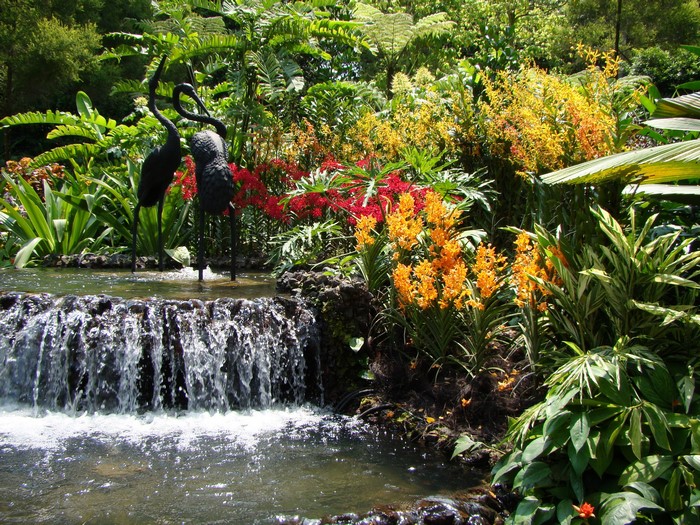 Waterfall with Crane Statues and Orchids in Singapore