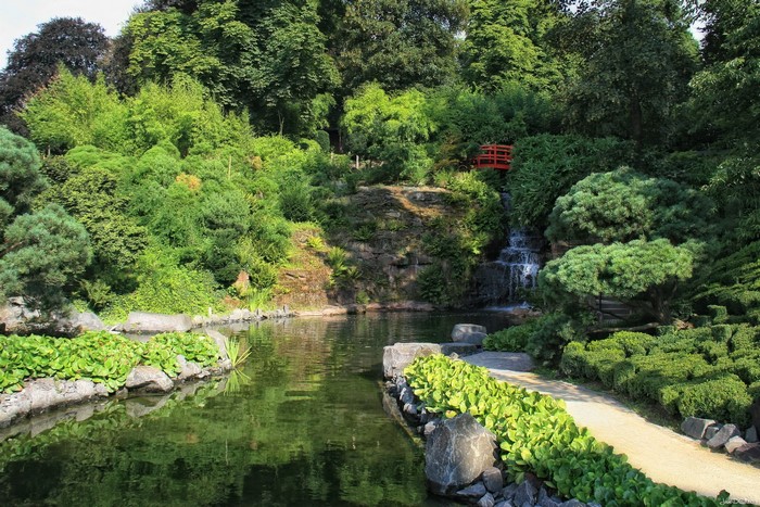 Japanese Garden with Pond and Waterfall in Kaiserslautern