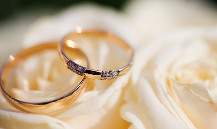 Two gold wedding rings with diamonds on a white rose