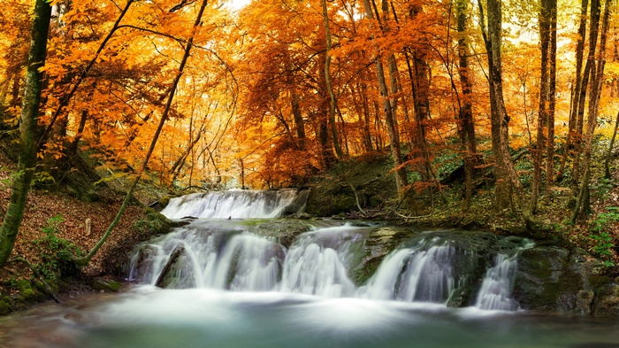 Waterfall in an autumn forest with orange trees