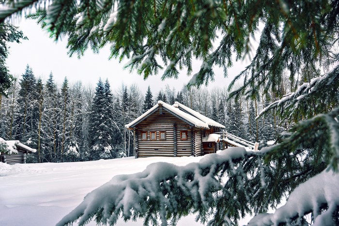 Wooden house in a snowy forest with spruce branches