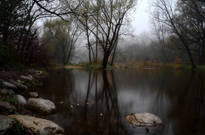 Misty lake with trees and rocks