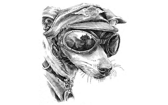 Dog wearing a pilot hat and goggles