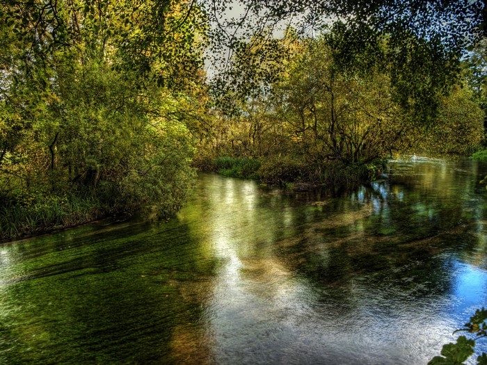 River Itchen in Hampshire, England