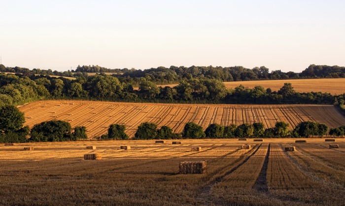 Hay bales in a field in Hampshire, England