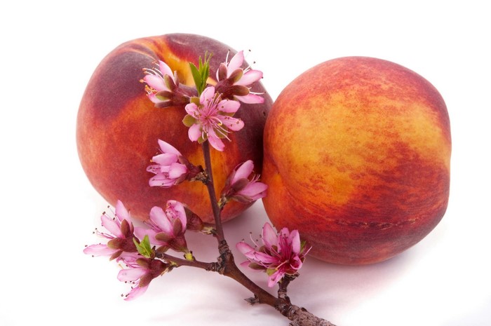 Peaches with Blossoms on Branches