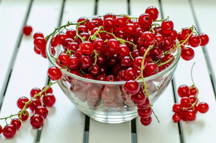 Red currants in a glass bowl