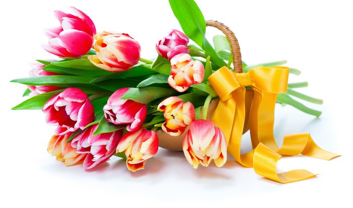 Bouquet of pink and yellow tulips with a yellow ribbon