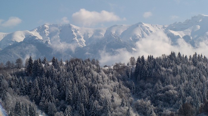 Snow-covered mountains and forests in Transilvania, Romania