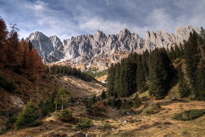 Jagged mountain range in Austria with pine forest