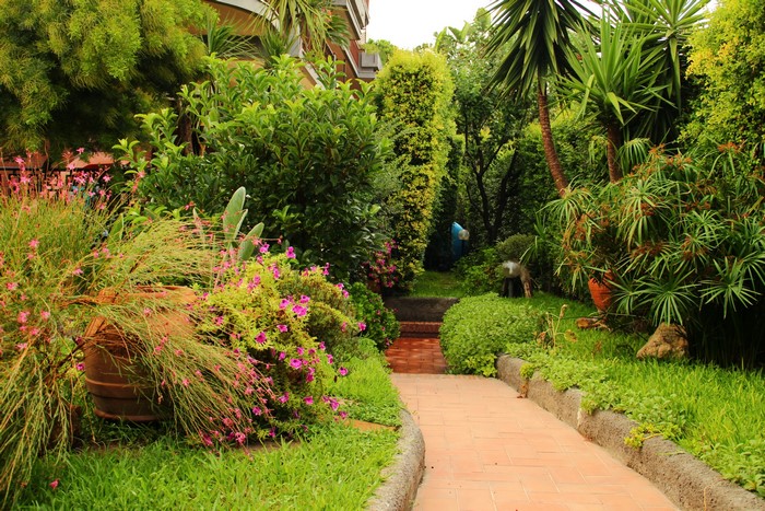 Garden path with flowers and palm trees in Sicily, Italy