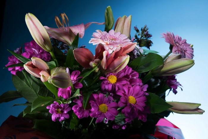 Bouquet of Lilies and Daisies